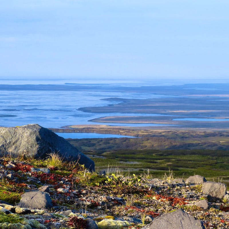 Fall colors in Izembek wilderness